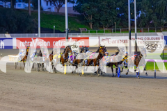 2026_PACEPIX_GP19062026_Race1_UpAndAlive_WIN_WEB-3