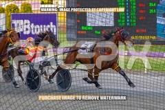 2026_PACEPIX_GP16102026_Race1_VinitaRose_WIN_WEB-10