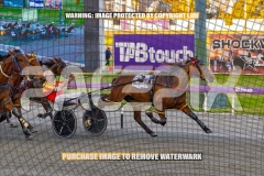 2026_PACEPIX_GP16102026_Race1_VinitaRose_WIN_WEB-11