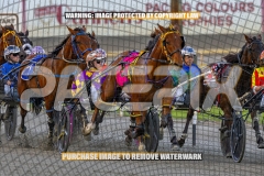 2026_PACEPIX_GP16102026_Race1_VinitaRose_WIN_WEB-2
