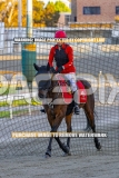 2026_PACEPIX_GP16102026_Race1_VinitaRose_WIN_WEB-20