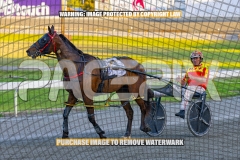 2026_PACEPIX_GP16102026_Race1_VinitaRose_WIN_WEB-21