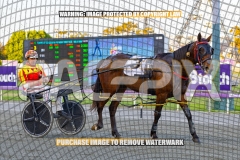 2026_PACEPIX_GP16102026_Race1_VinitaRose_WIN_WEB-28