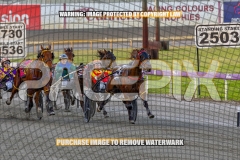 2026_PACEPIX_GP16102026_Race1_VinitaRose_WIN_WEB-6