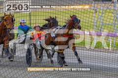 2026_PACEPIX_GP16102026_Race1_VinitaRose_WIN_WEB-7