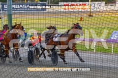 2026_PACEPIX_GP16102026_Race1_VinitaRose_WIN_WEB-8