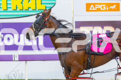 2026_Pacepix_GP30012026_RACE1_VintageBlu_WIN_WEB-13