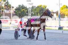 2026_Pacepix_GP30012026_RACE1_VintageBlu_WIN_WEB-14