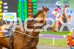 2025_PACEPIX_GP06052025_RACE1_VintageBlu_WIN_WEB-11