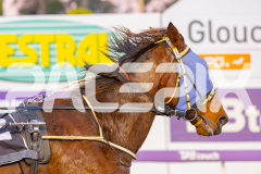2025_PACEPIX_GP06052025_RACE1_VintageBlu_WIN_WEB-12