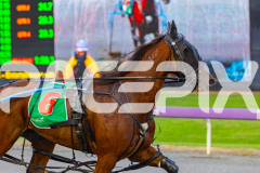 2026_Pacepix_GP28042026_RACE1_WanderinStar_WIN_WEB-12