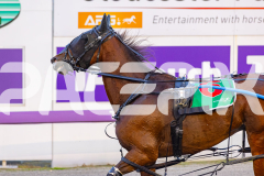 2026_Pacepix_GP28042026_RACE1_WanderinStar_WIN_WEB-16
