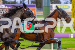 2026_Pacepix_GP28042026_RACE1_WanderinStar_WIN_WEB-5