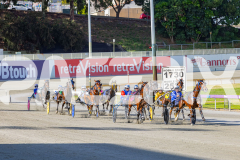 2025_PACEPIX_GP18112025_RACE1_WaveRebellion_WIN_WEB-1