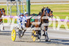 2025_PACEPIX_GP18112025_RACE1_WaveRebellion_WIN_WEB-11