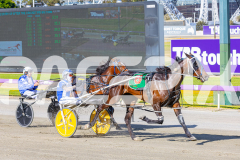 2025_PACEPIX_GP18112025_RACE1_WaveRebellion_WIN_WEB-13