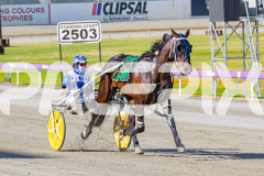 2025_PACEPIX_GP18112025_RACE1_WaveRebellion_WIN_WEB-17
