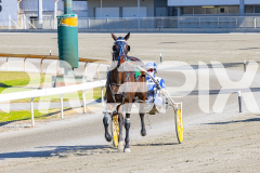 2025_PACEPIX_GP18112025_RACE1_WaveRebellion_WIN_WEB-20