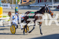 2025_PACEPIX_GP18112025_RACE1_WaveRebellion_WIN_WEB-22