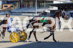 2025_PACEPIX_GP18112025_RACE1_WaveRebellion_WIN_WEB-23