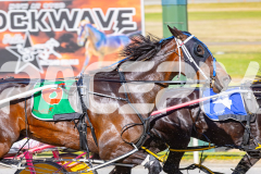 2025_PACEPIX_GP18112025_RACE1_WaveRebellion_WIN_WEB-4