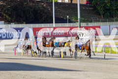 2025_PACEPIX_GP18112025_RACE1_WaveRebellion_WIN_WEB-5