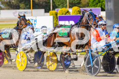 2025_PACEPIX_GP18112025_RACE1_WaveRebellion_WIN_WEB-6