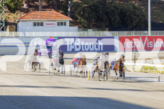 2025_PACEPIX_GP18112025_RACE1_WaveRebellion_WIN_WEB-8
