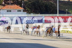 2025_PACEPIX_GP18112025_RACE1_WaveRebellion_WIN_WEB-9