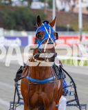 2026_PACEPIX_GP07042026_RACE1_WHEELSOFFORTUNE_WIN_WEB-15
