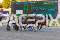 2025_PACEPIX_GP10102025_RACE1_WhenInVegas_WIN_WEB-10