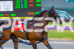 2025_PACEPIX_GP10102025_RACE1_WhenInVegas_WIN_WEB-15