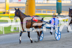 2025_PACEPIX_GP10102025_RACE1_WhenInVegas_WIN_WEB-16