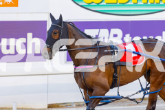 2025_PACEPIX_GP10102025_RACE1_WhenInVegas_WIN_WEB-17