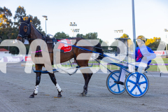 2025_PACEPIX_GP10102025_RACE1_WhenInVegas_WIN_WEB-19