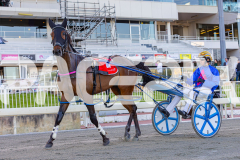 2025_PACEPIX_GP10102025_RACE1_WhenInVegas_WIN_WEB-23