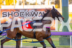2025_PACEPIX_GP10102025_RACE1_WhenInVegas_WIN_WEB-4