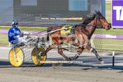 Winter-Surge_20-10-2026_WIN_Gloucester-Park_1__07