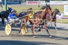 Winter-Surge_20-10-2026_WIN_Gloucester-Park_1__12