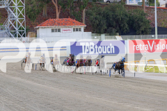 2026_PACEPIX_GP10042026_RACE1_WishingBelle_WIN_WEB-1