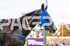 2026_PACEPIX_GP10042026_RACE1_WishingBelle_WIN_WEB-11