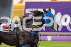 2026_PACEPIX_GP10042026_RACE1_WishingBelle_WIN_WEB-15