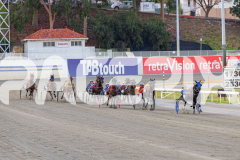 2026_PACEPIX_GP10042026_RACE1_WishingBelle_WIN_WEB-2