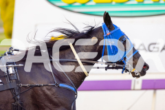 2026_PACEPIX_GP10042026_RACE1_WishingBelle_WIN_WEB-21
