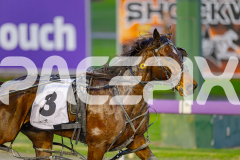 2025_PACEPIX_GP24062025_Race1_ZiggyVameer_WIN_WEB-10