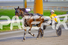 2025_PACEPIX_GP24062025_Race1_ZiggyVameer_WIN_WEB-11