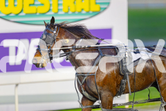 2025_PACEPIX_GP24062025_Race1_ZiggyVameer_WIN_WEB-12