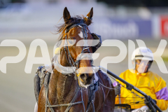 2025_PACEPIX_GP24062025_Race1_ZiggyVameer_WIN_WEB-14