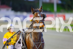 2025_PACEPIX_GP24062025_Race1_ZiggyVameer_WIN_WEB-15