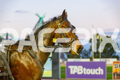 2025_PACEPIX_GP24062025_Race1_ZiggyVameer_WIN_WEB-17